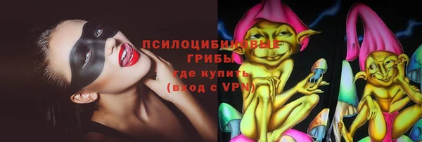 кристаллы Гусев