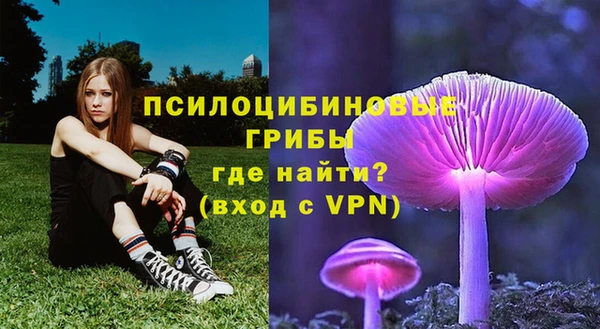 кристаллы Гусев