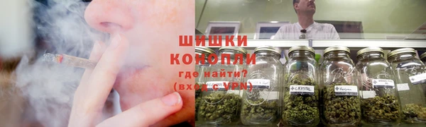 кристаллы Гусев