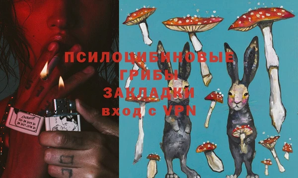 кристаллы Гусев