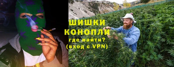 ГАЛЛЮЦИНОГЕННЫЕ ГРИБЫ Гусиноозёрск