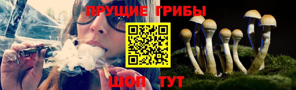 Нижний Тагил  Галлюциногенные грибы Magic Shrooms  закладка  Вход с VPN 